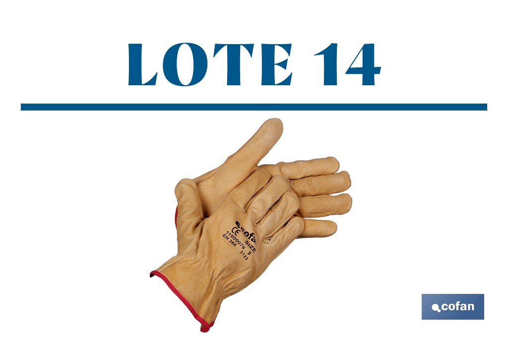 Promoción de Navidad | Lote de Navidad 14 | Guantes de Piel